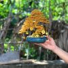 Bonsai-Baum aus Kupfer zum Dekorieren und Formen